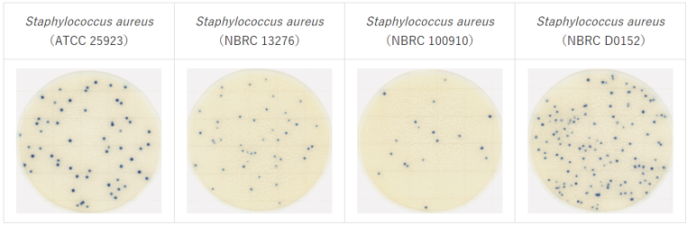 Тест-пластины Easy Plate SA  для экспресс-определения стафилококков (Staph. aureus)