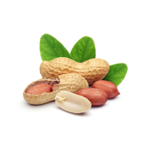 ХЕМАТест Арахис Профи