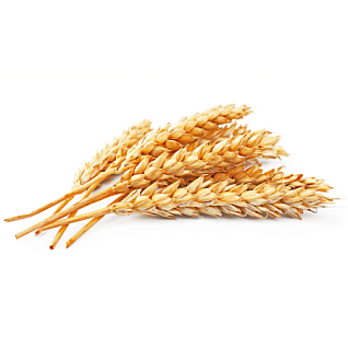 ХЕМАТест Глютен Профи