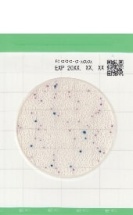 Тест-пластины Easy Plate EC