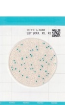 Тест-пластины Easy Plate CC