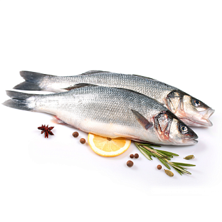 ХЕМАТест Рыба Профи