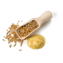 ХЕМАТест Горчица Профи