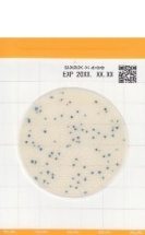 Тест-пластины Easy Plate SA (экспресс)